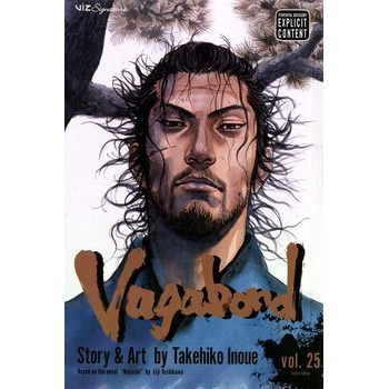Vagabond, Vol. 25