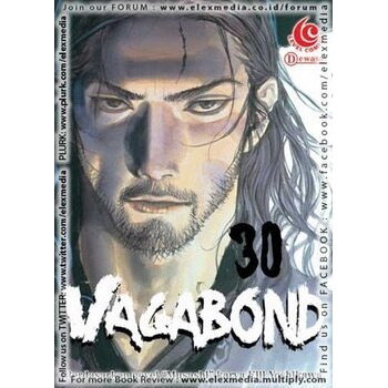 Vagabond, Vol. 30