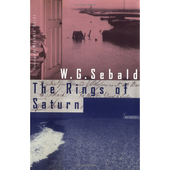 The Rings of Saturn