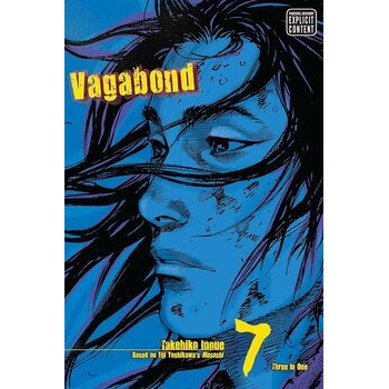 Vagabond, Vol. 7