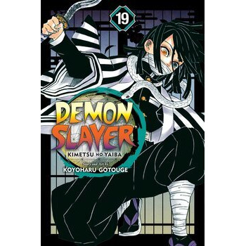 Demon Slayer, Vol. 19